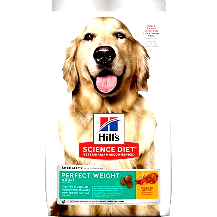 A Balanced Diet for a Happy Dog: The Benefits of Hill's Science Diet Dog Food