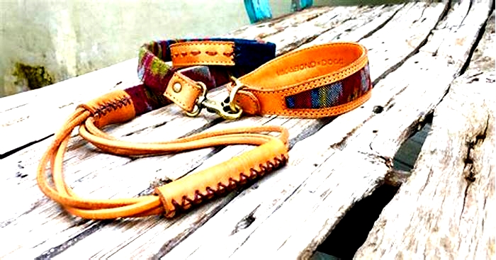 Artisanal Dog Collars: Nourishing Your Pet with Handcrafted Accessories