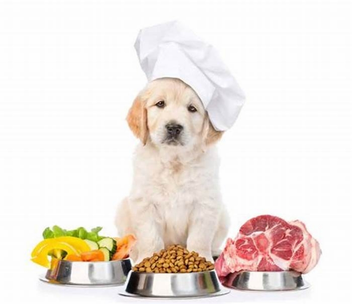 Artisanal Dog Diets: Nourishing Your Pet with Carefully Selected Ingredients