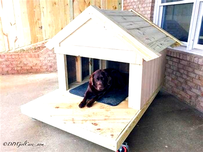 Artisanal Dog Houses Nourishing Your Pet with Handcrafted Shelter