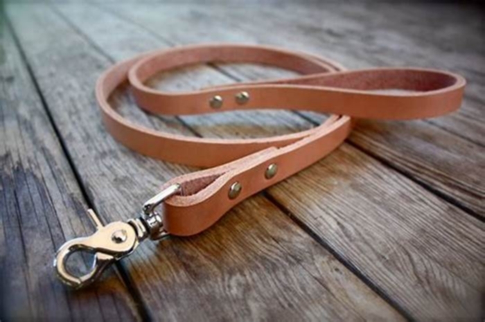 Artisanal Dog Leashes Nourishing Your Pet with Handcrafted Accessories