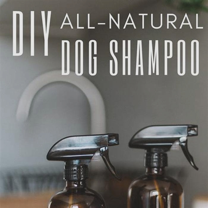 Artisanal Dog Shampoos Nourishing Your Pet with Handcrafted Care