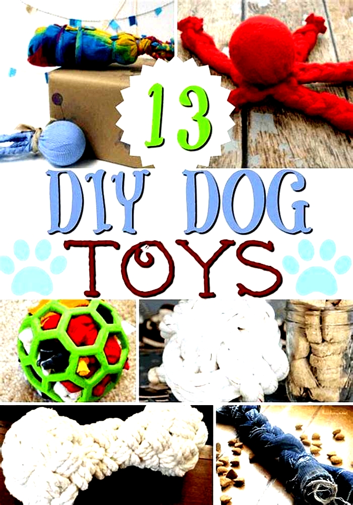 Artisanal Dog Toys: Nourishing Your Pet with Handcrafted Playthings