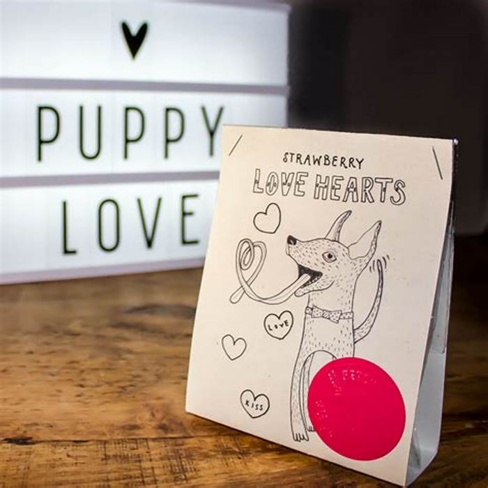 Artisanal Dog Treatments Nourishing Your Pet with Handcrafted Care