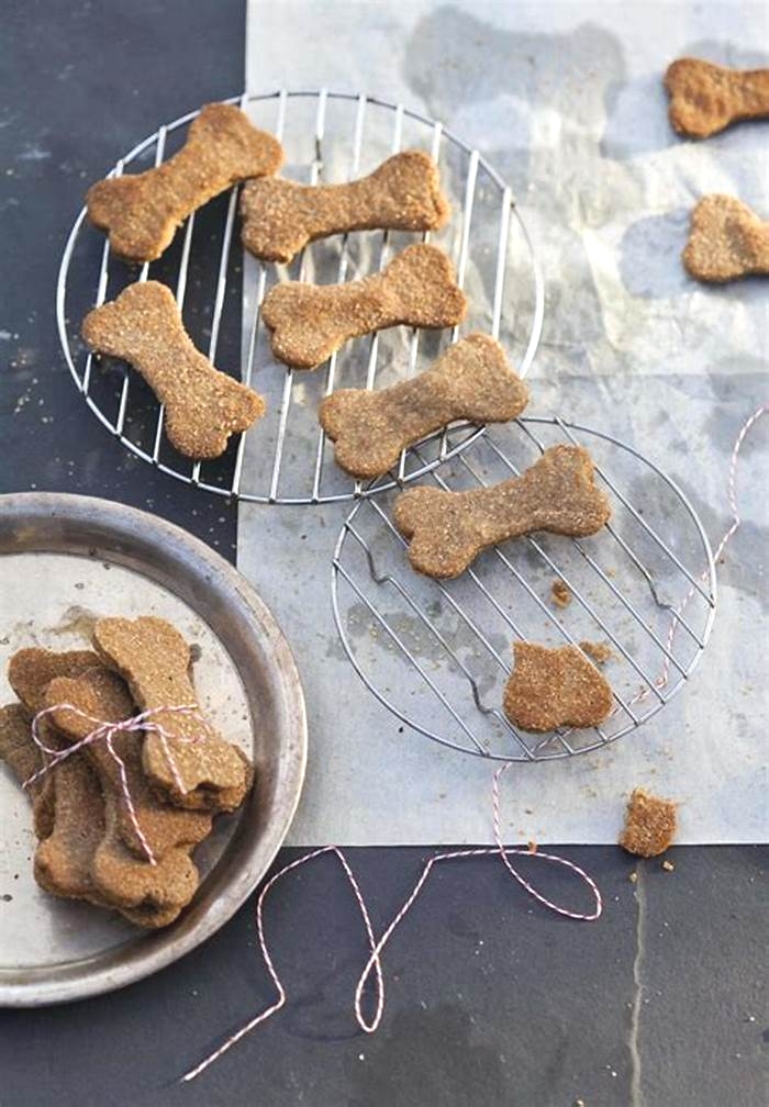 Artisanal Dog Treats: Nourishing Your Pet with Handcrafted Snacks