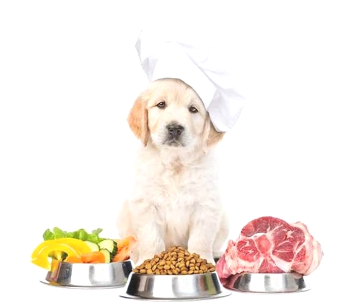 Artisanal Pet Diets Nourishing Your Dog with Handcrafted Meals