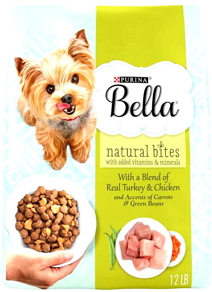 Bella Dry Dog Food: The Key to a Happy, Healthy Dog