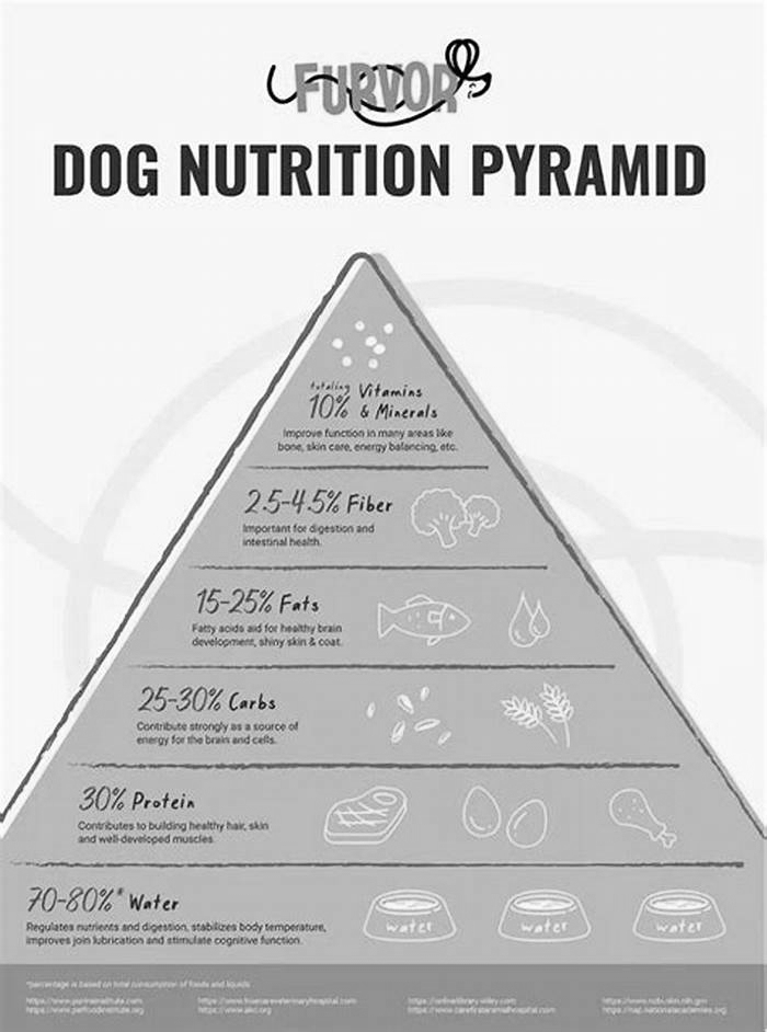 Bespoke Dog Nutrition Crafting Custom Diets for Your Furry Friend