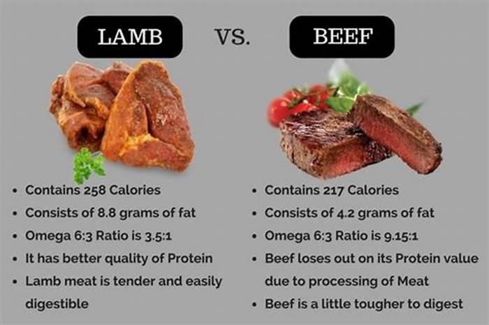 Beyond Beef Why Lamb Based Diets from Acana Are Gaining Popularity