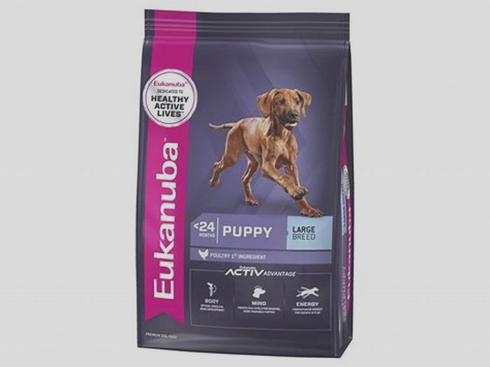 Big Appetite Big Nutrition Nourishing Your Large Breed Puppy with Eukanuba