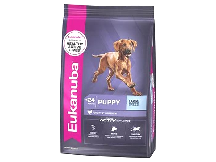 Big and Healthy A Look into Eukanuba s Large Breed Puppy Food Offerings