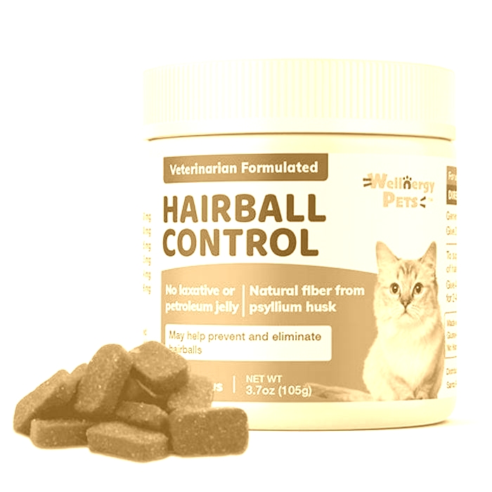 Cat Care Managing Hairballs with Effective Control Treatments