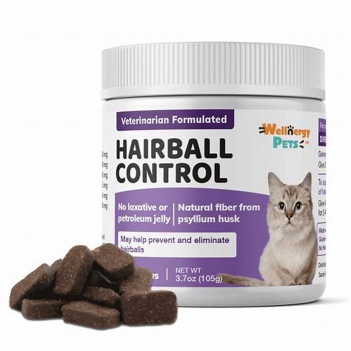 Cat Care : Understanding Hairball Control Treatments