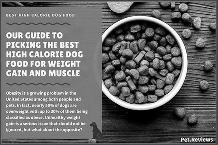 Choosing Gain Dog Food: A Decision in Your Dog's Best Interest