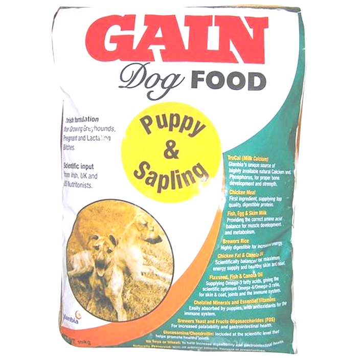 Choosing Gain Pet Food: A Decision That Makes a Difference in Your Dog's Life