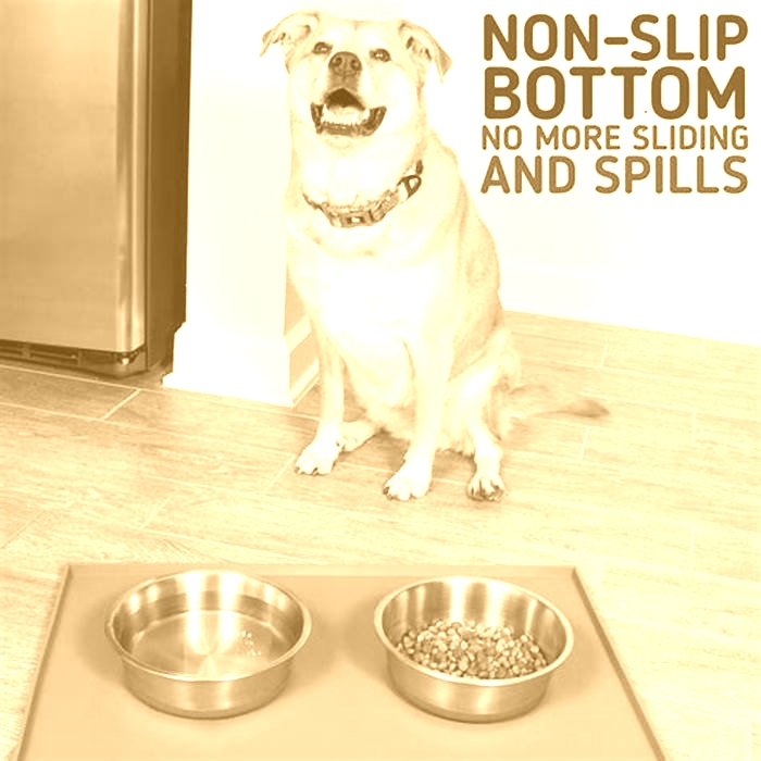 Crafted Canine Cuisine: Elevating Mealtime for Your Furry Companion