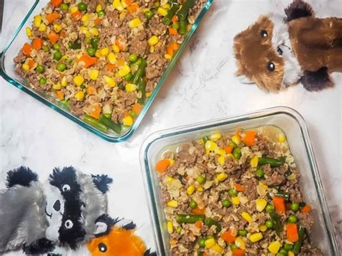 Custom Canine Cuisine Crafting Meals to Meet Your Pet s Needs