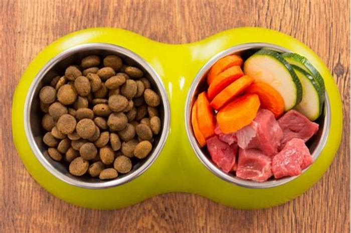 Custom Crafted Canine Diets: Nourishing Your Pet with Precision