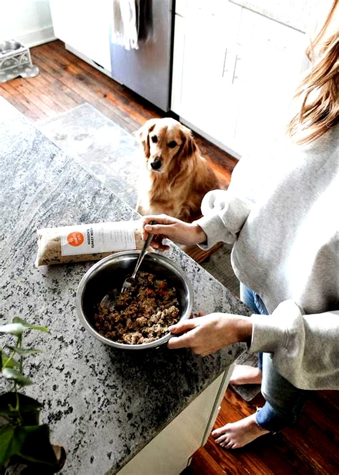 Custom Crafted Pet Meals Providing Tailored Nutrition for Dogs