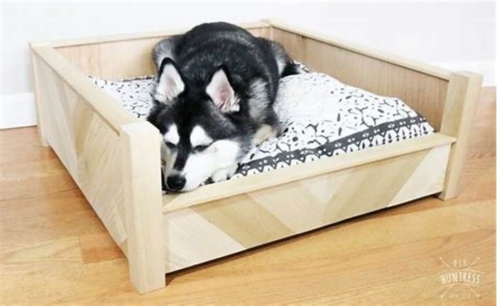 Customized Canine Beds Crafting Beds to Suit Your Pet s Tastes