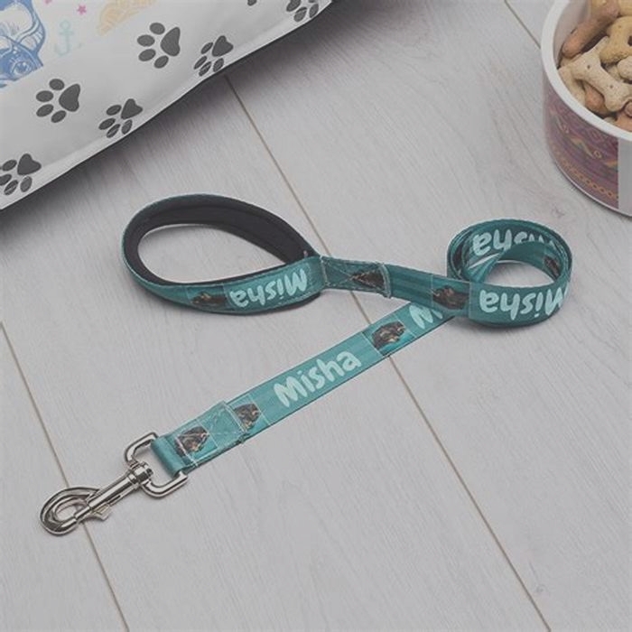 Customized Canine Leashes Crafting Leashes to Suit Your Pet s Tastes