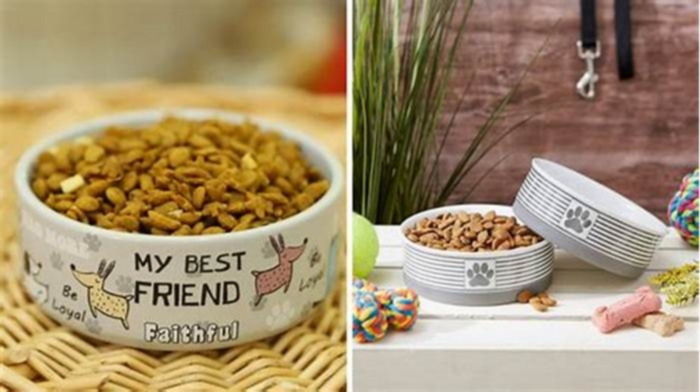 Designer Dog Cuisine: Elevating Your Pet's Dining Experience