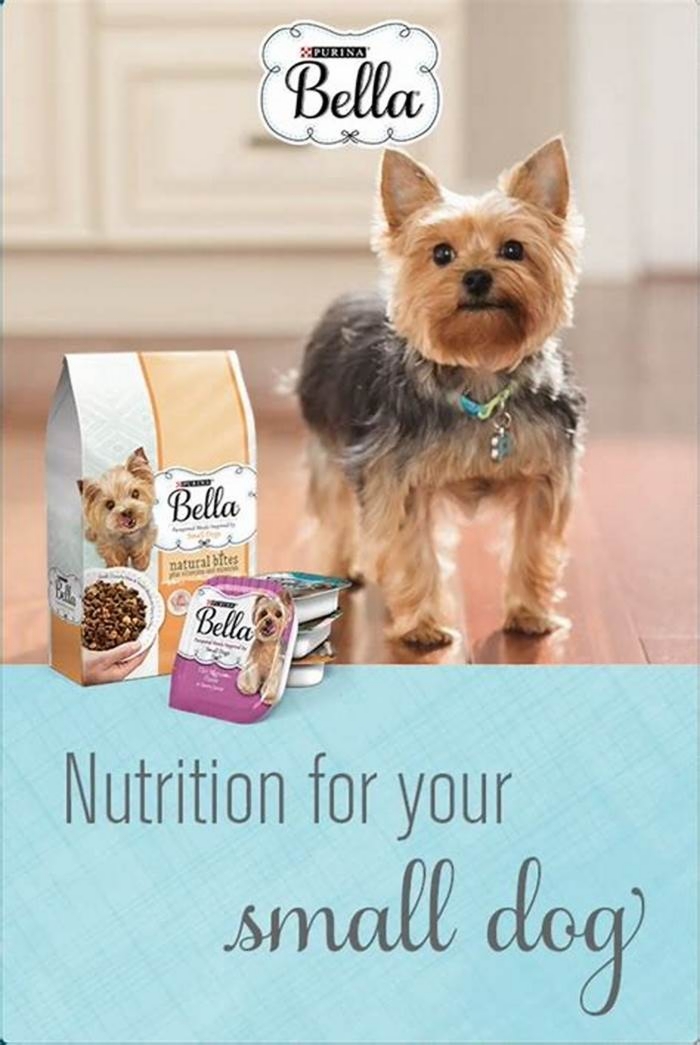 Elevate Your Dog s Diet Discovering the Benefits of Bella Pet Food