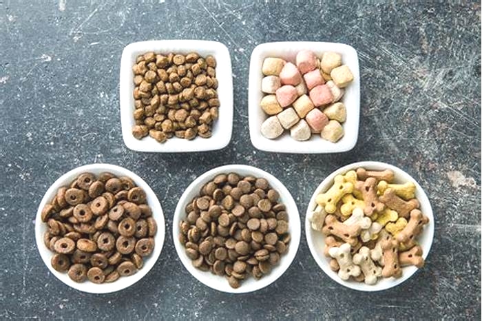 Elevate Your Dog's Health: Understanding Gain Pet Food Ingredients