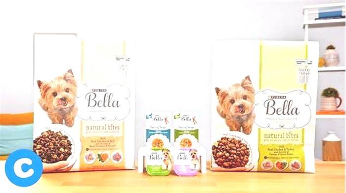 Elevating Your Dog's Health: Exploring the Benefits of Bella Pet Food