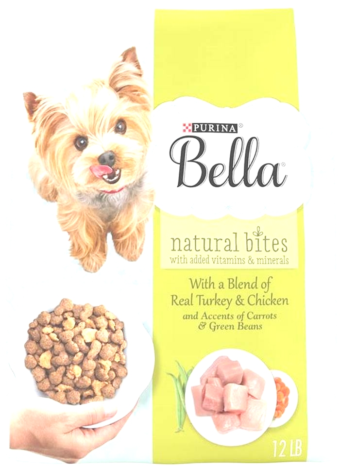 Elevating Your Dog s Health Exploring the Nutritional Value of Bella Dry Dog Food