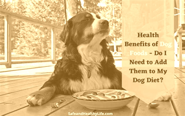 Elevating Your Dog's Health: Understanding the Benefits of Gain Pet Food