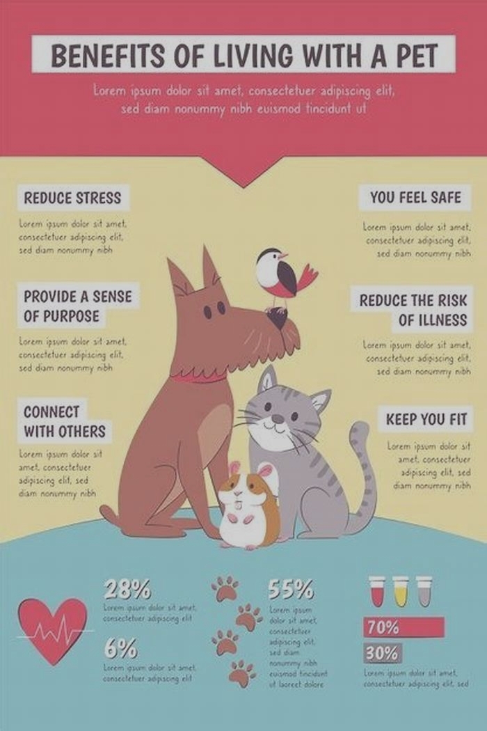 Elevating Your Dog's Quality of Life: The Benefits of Gain Pet Food