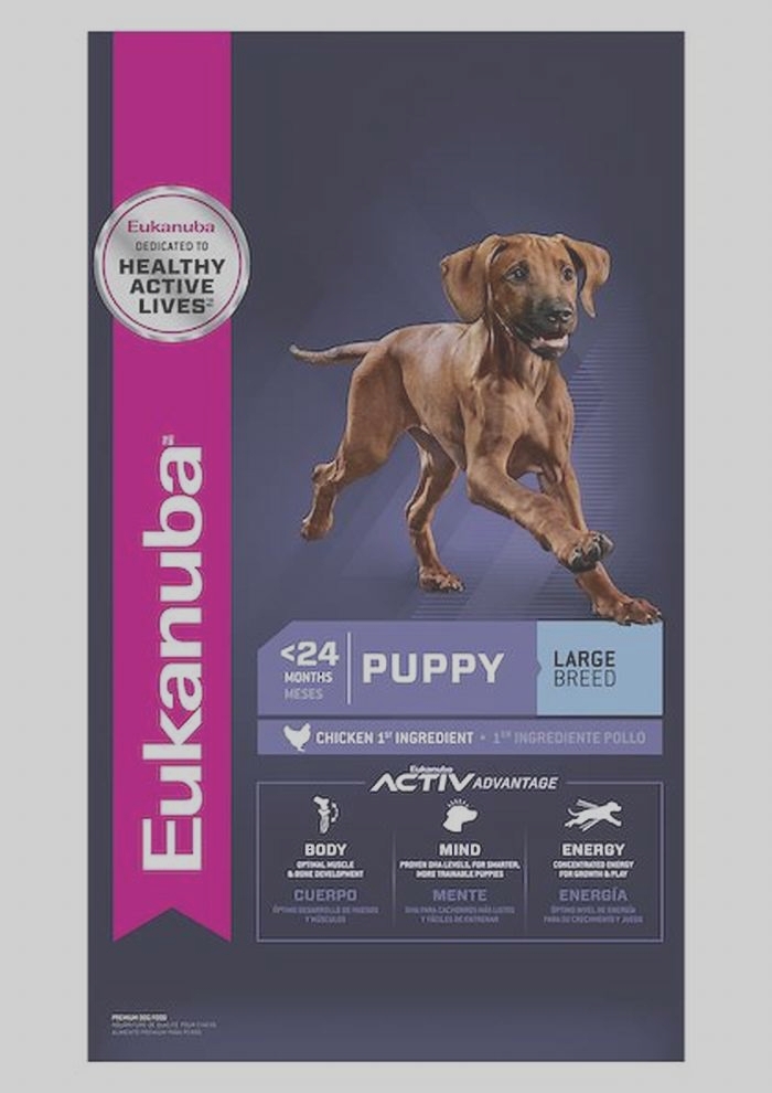 Eukanuba s Large Breed Puppy Lineup A Deep Dive into Premium Canine Nutrition