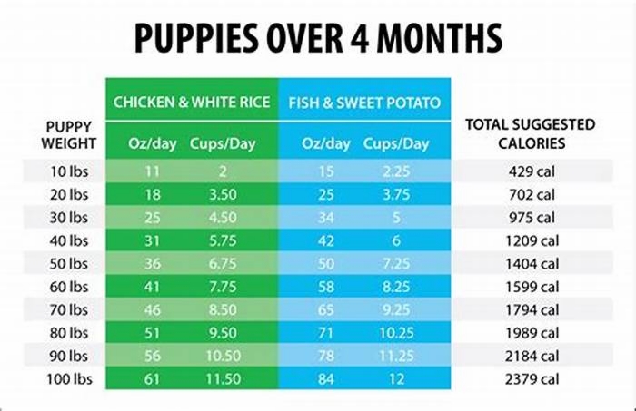 eukanuba large breed puppy feeding chart