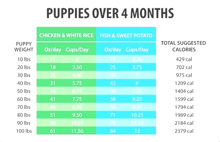 eukanuba puppy feeding chart