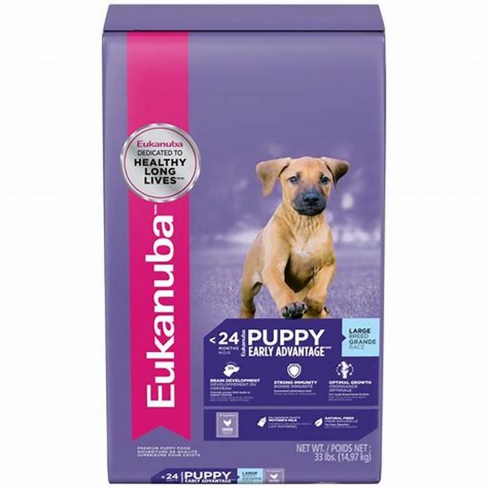 eukanuba puppy food large breed