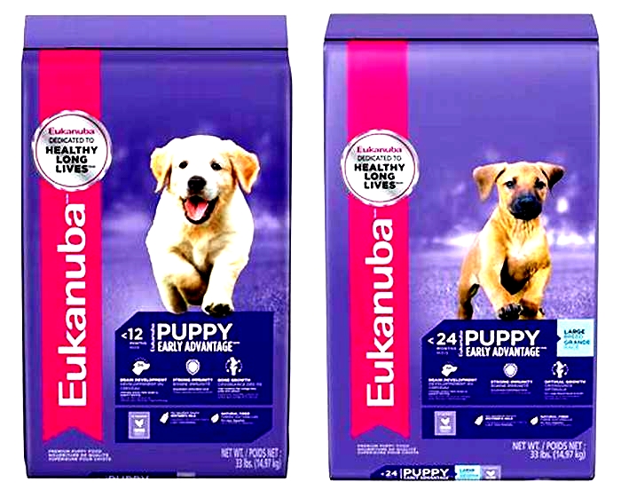 eukanuba puppy food review