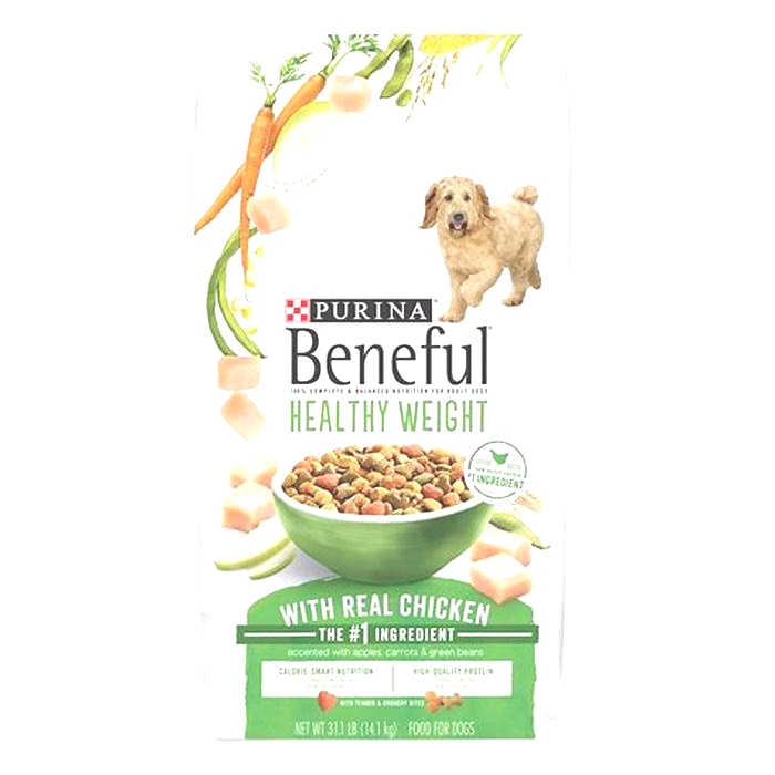 From Bowl to Tail: Maximizing Your Dog's Health with Gain Pet Food