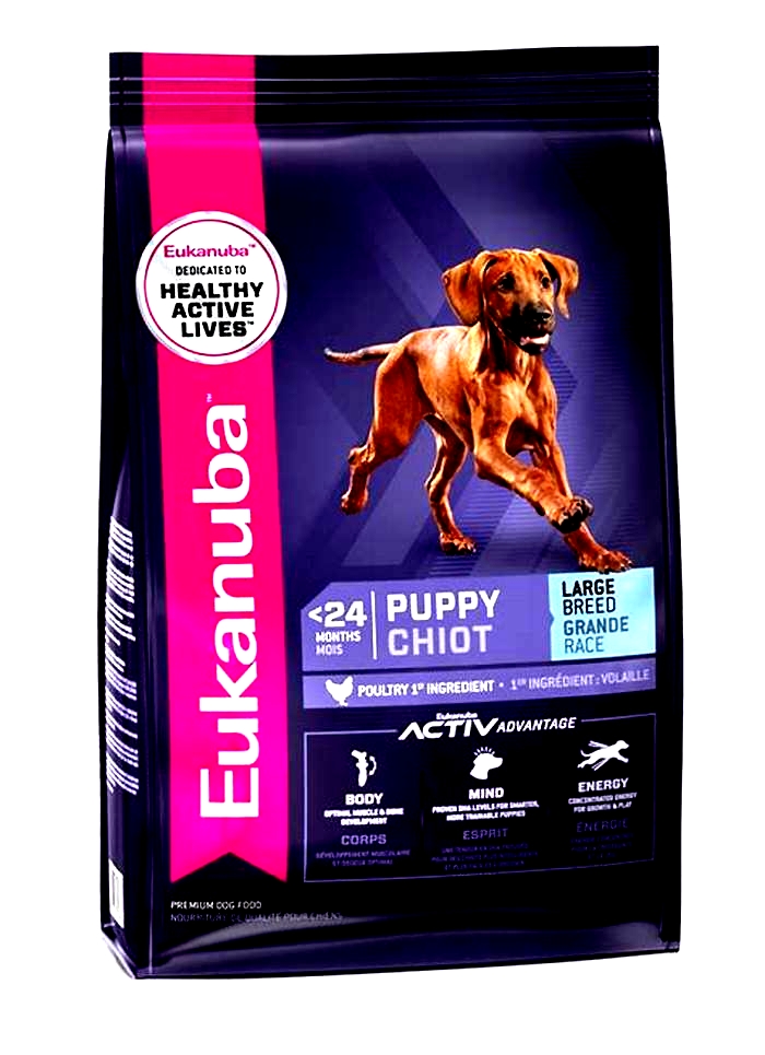 From Paws to Tail Exploring the Comprehensive Approach of Eukanuba s Large Breed Puppy Nutrition