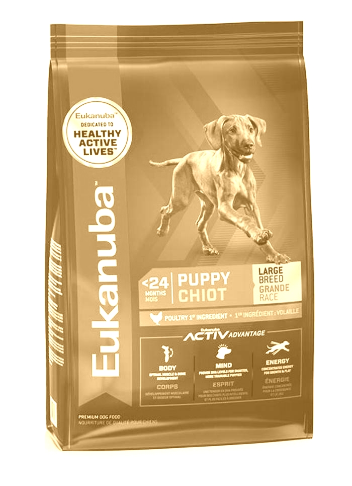 From Paws to Tail: Understanding Eukanuba's Large Breed Puppy Food Philosophy