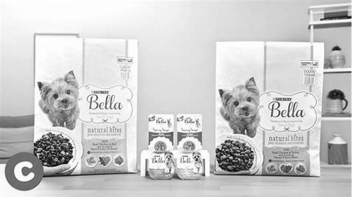 Fueling Active Lifestyles How Bella Pet Food Supports Canine Energy Levels