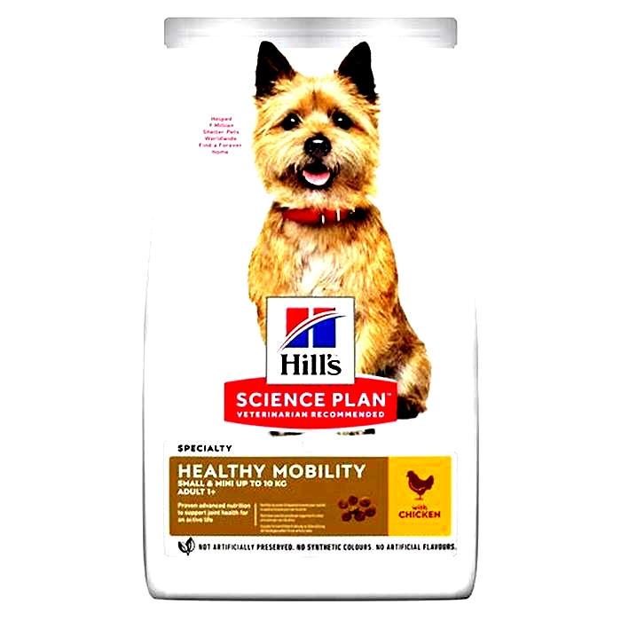 Fueling Active Lifestyles: How Hill's Science Plan Dog Food Supports Energy Needs