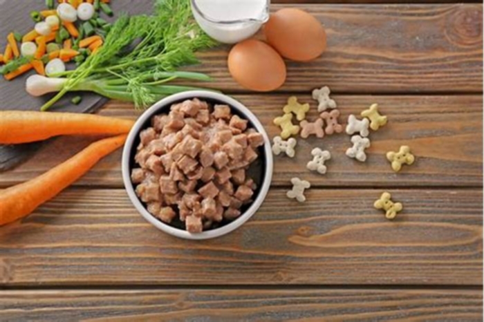 Fueling Canine Vitality: The Benefits of Choosing Gain Pet Food