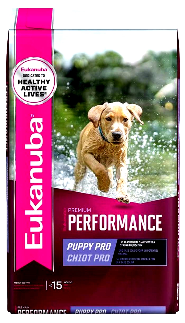 Fueling Growth The Importance of Premium Nutrition for Large Breed Puppies with Eukanuba