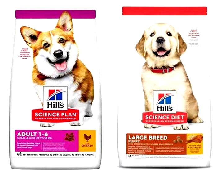 Fueling Health and Happiness: The Benefits of Hill's Science Plan Dog Food