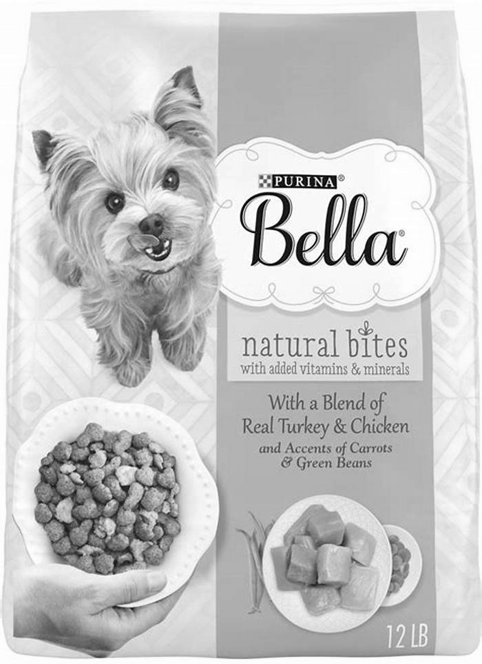 Fueling Your Furry Friend s Adventures Exploring Bella Dry Dog Food