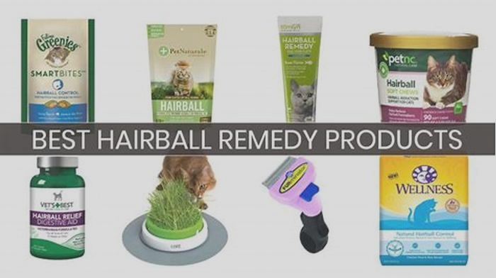 Fur-Free Living: Discovering the Benefits of Hairball Control Treatments