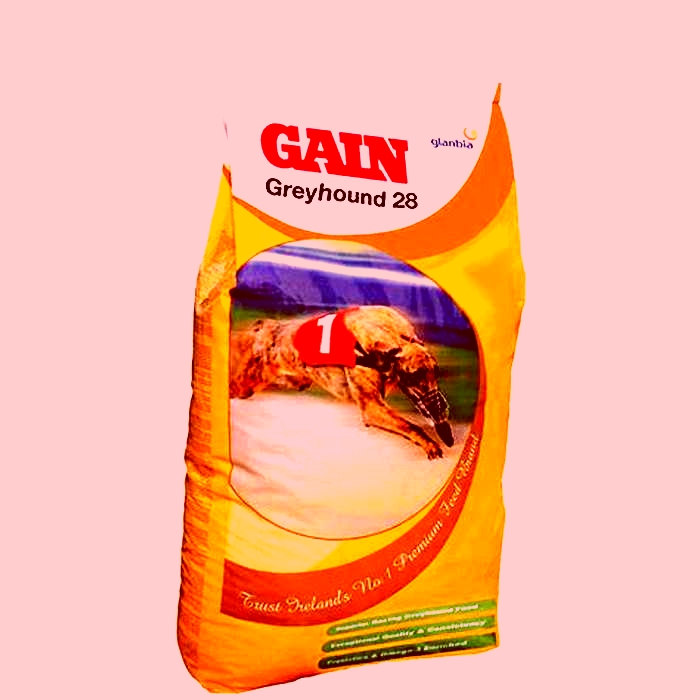 gain 28 dog food review