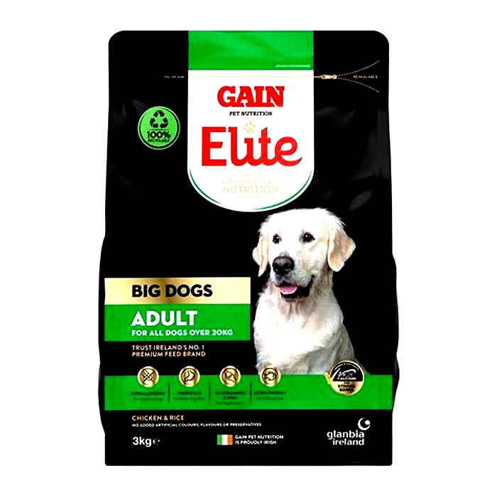 gain dog food review