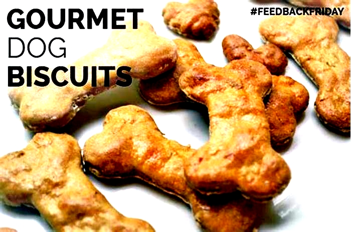 Gourmet Dog Biscuits: Elevating Your Pet's Biscuit Experience